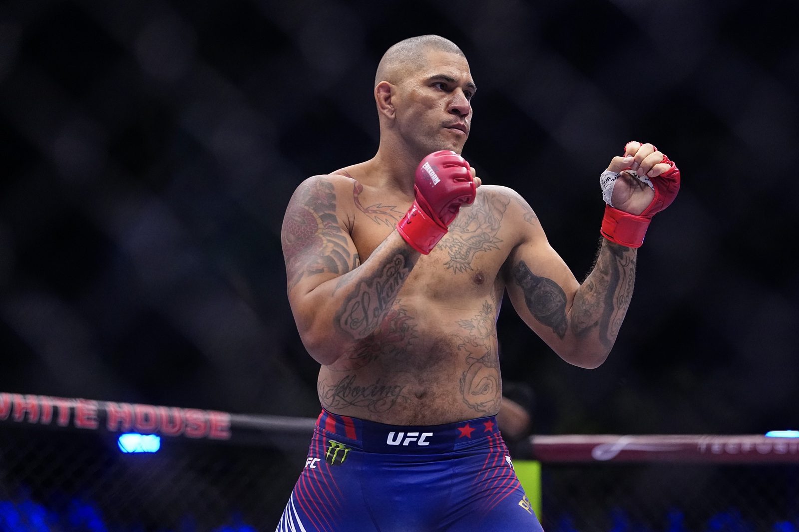 Wróżą szybką porażkę byłego mistrza UFC